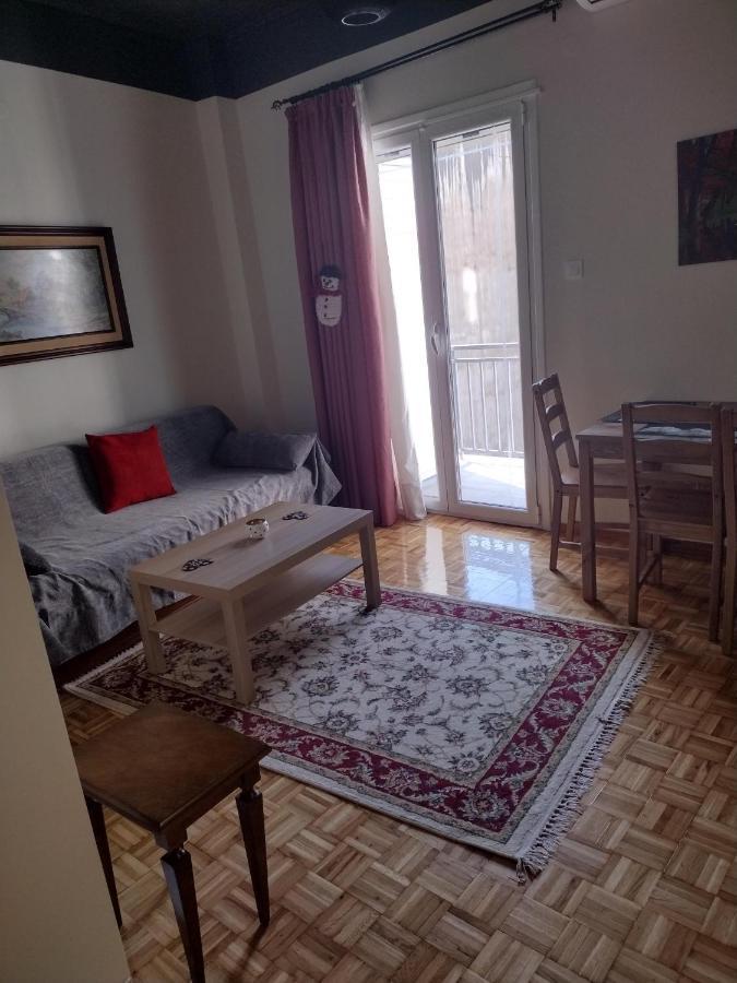 City Center Apartment Ioannina Luaran gambar